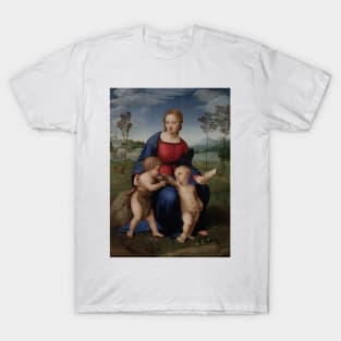 Madonna of the Goldfinch by Raphael T-Shirt